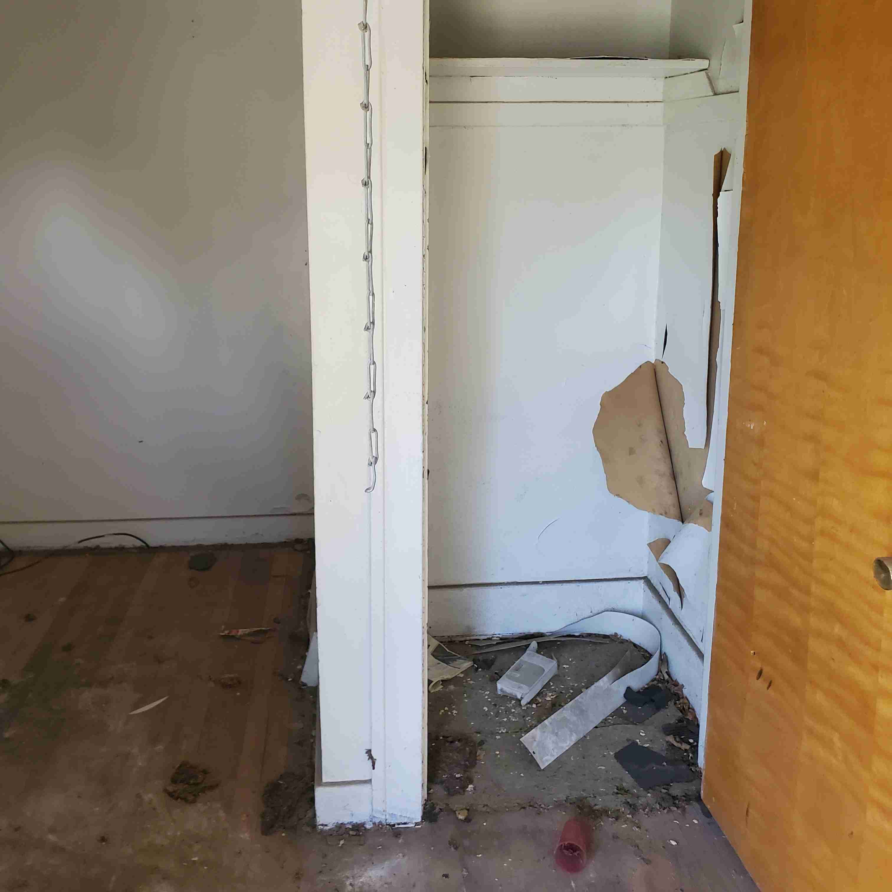 20200812_154117 (2).jpg